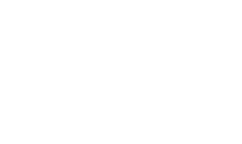 Regulator